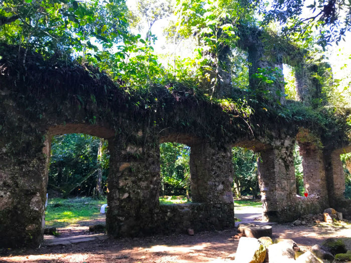Ruinas do engenho em Lagoinha 2 - Foto Reginaldo Pupo - Travel for Life.JPG